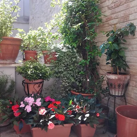 Frühstückspension Il Covo Dei Piccioni Castelfidardo