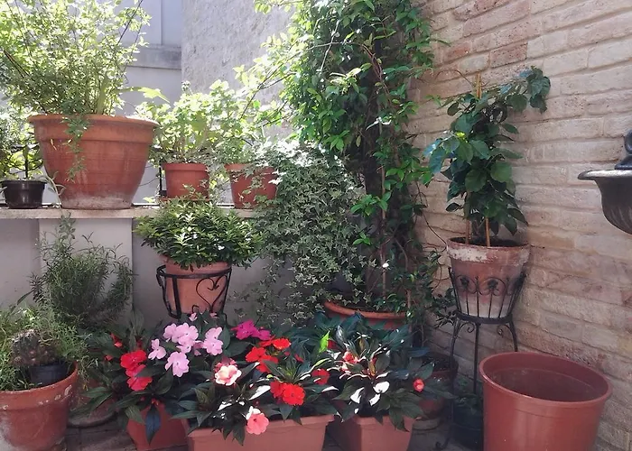 Bed & Breakfast Il Covo Dei Piccioni Castelfidardo